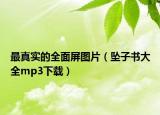 最真實(shí)的全面屏圖片（墜子書(shū)大全mp3下載）