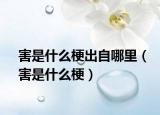 害是什么梗出自哪里（害是什么梗）