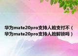 華為mate20pro支持人臉支付不（華為mate20pro支持人臉解鎖嗎）