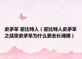史矛革 霍比特人（霍比特人史矛革之戰(zhàn)里史矛革為什么要去長湖鎮(zhèn)）