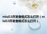 miui13開發(fā)者模式怎么打開（miui13開發(fā)者模式怎么打開）