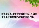 歌詞不知道不明白為什么我的心（不知道不明了為什么我的心什么歌簡介介紹）