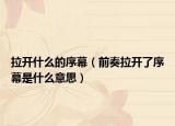 拉開什么的序幕（前奏拉開了序幕是什么意思）