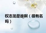 權(quán)志龍是誰?。ê苡忻麊幔? /></span></a>
                        <h2><a href=