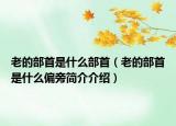 老的部首是什么部首（老的部首是什么偏旁簡(jiǎn)介介紹）