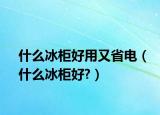 什么冰柜好用又省電（什么冰柜好?）