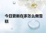 今日更新在家怎么做雪糕