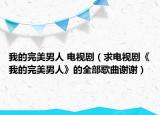 我的完美男人 電視?。ㄇ箅娨晞　段业耐昝滥腥恕返娜扛枨x謝）