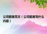 公司前言范文（公司前言寫(xiě)什么內(nèi)容）