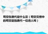 司空在唐代是什么官（司空見慣中的司空是指唐代一位詩人嗎）