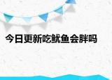 今日更新吃魷魚會胖嗎