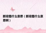 斷背是什么意思（斷背是什么意思?。? /></span></a>
                        <h2><a href=