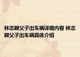 林志穎父子出車禍詳細(xì)內(nèi)容 林志穎父子出車禍具體介紹