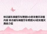 林志穎車禍細節(jié)車燃燒3小時未熄滅詳細內(nèi)容 林志穎車禍細節(jié)車燃燒3小時未熄滅具體介紹