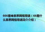 666是啥意思網絡用語（66是什么意思網絡用語簡介介紹）