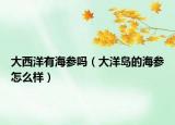 大西洋有海參嗎（大洋島的海參怎么樣）