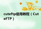 cuteftp使用教程（CuteFTP）