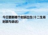 今日更新哪個時辰出生(十二生肖時辰與命運(yùn))