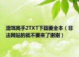 流氓高手2TXT下載要全本（非法網(wǎng)站的就不要來了謝謝）