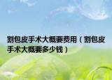 割包皮手術大概要費用（割包皮手術大概要多少錢）