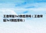 王者榮耀3v3算勝率嗎（王者榮耀3v3算勝率嗎）