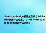 photoshopbridge是什么意思（AdobeBridge是什么意思