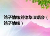 鴿子情緣劉德華演唱會(huì)（鴿子情緣）