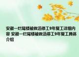 安徽一爛尾樓被救活停工9年復(fù)工詳細內(nèi)容 安徽一爛尾樓被救活停工9年復(fù)工具體介紹