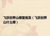 飛躍創(chuàng)界山哪里有賣(mài)（飛躍創(chuàng)界山什么梗）