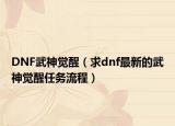 DNF武神覺醒（求dnf最新的武神覺醒任務(wù)流程）