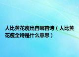 人比黃花瘦出自哪首詩(shī)（人比黃花瘦全詩(shī)是什么意思）
