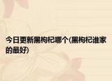 今日更新黑枸杞哪個(黑枸杞誰家的最好)