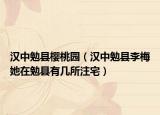 漢中勉縣櫻桃園（漢中勉縣李梅她在勉縣有幾所注宅）