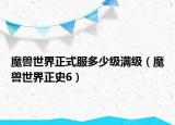 魔獸世界正式服多少級(jí)滿級(jí)（魔獸世界正史6）