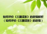 如何評價《三國諜影》的劇情解析（如何評價《三國諜影》的劇情）