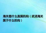 海關(guān)是什么直屬機構(gòu)（武清海關(guān)屬于什么機構(gòu)）