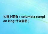 匕首上面有（columbia scorpion king 什么意思）