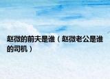 趙微的前夫是誰（趙微老公是誰的司機(jī)）