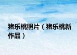 豬樂(lè)桃照片（豬樂(lè)桃新作品）