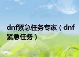 dnf緊急任務(wù)專家（dnf緊急任務(wù)）