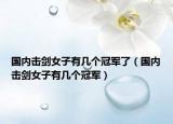 國內(nèi)擊劍女子有幾個(gè)冠軍了（國內(nèi)擊劍女子有幾個(gè)冠軍）