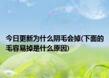 今日更新為什么陰毛會(huì)掉(下面的毛容易掉是什么原因)