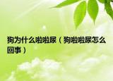 狗為什么啦啦尿（狗啦啦尿怎么回事）