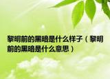 黎明前的黑暗是什么樣子（黎明前的黑暗是什么意思）