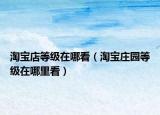 淘寶店等級在哪看（淘寶莊園等級在哪里看）