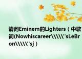 請(qǐng)問Eminem的Lighters（中歌詞(Nowhiscareer\\