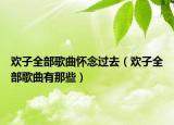 歡子全部歌曲懷念過去（歡子全部歌曲有那些）