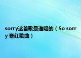 sorry這首歌是誰唱的（So sorry 蹇紅歌曲）