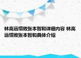 林高遠(yuǎn)惜敗張本智和詳細(xì)內(nèi)容 林高遠(yuǎn)惜敗張本智和具體介紹