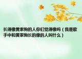 長得像黃家駒的人你們覺得像嗎（我是歌手中和黃家駒長的像的人叫什么）